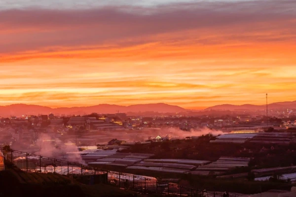 Ảnh Viva ĐL92 -  Hồ Bơi riêng + Bida, Karaoke, Sauna