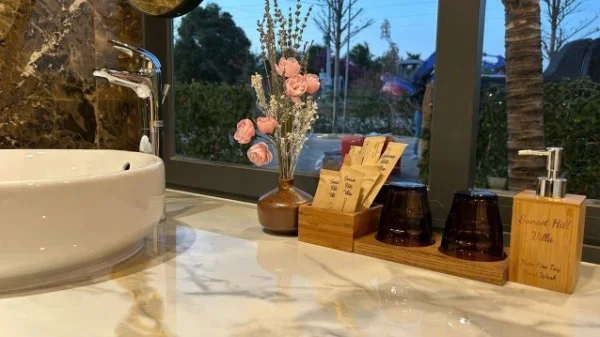 Ảnh Viva PT04 - 11