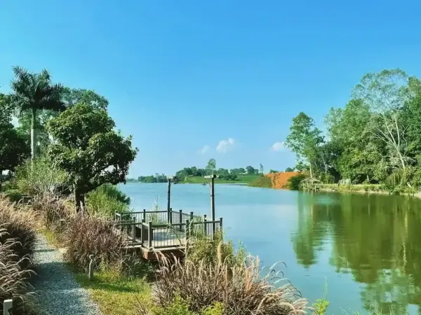 Ảnh Viva HB03 - Sân Pickleball - 16