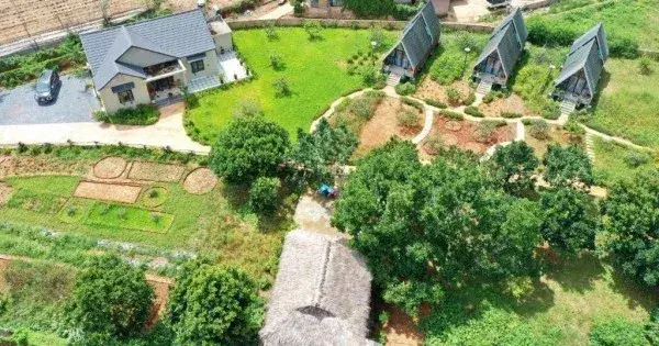 Ảnh Viva Homestay MC 11 - 13