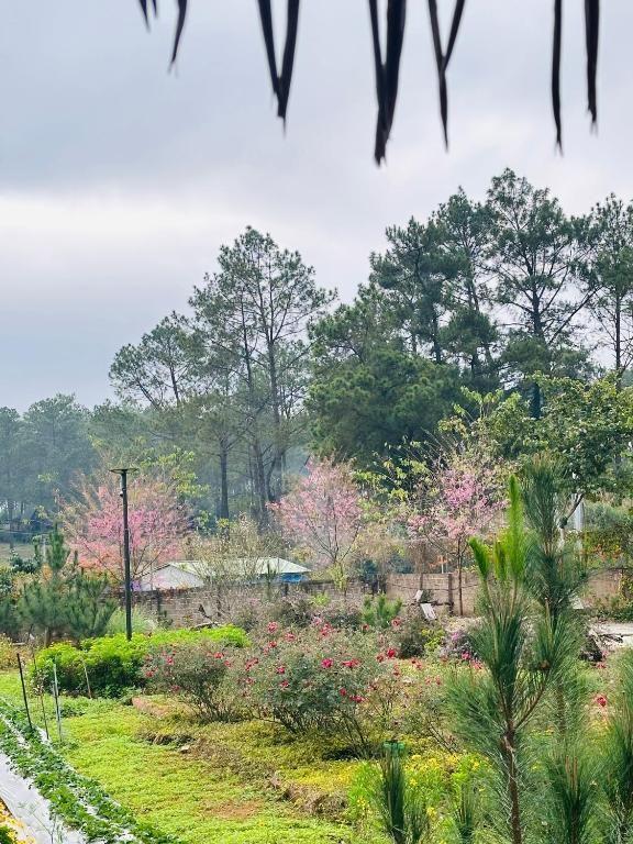 Ảnh Viva Homestay MC 11 - 14