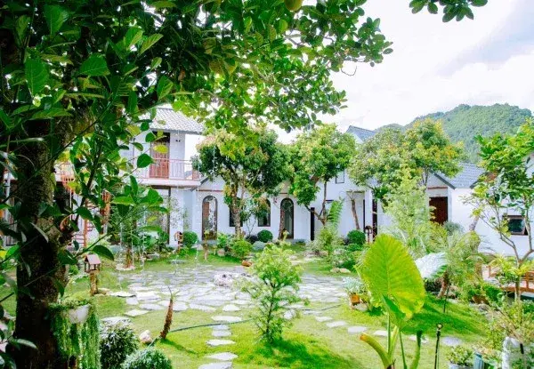 Ảnh Viva Homestay MC 12