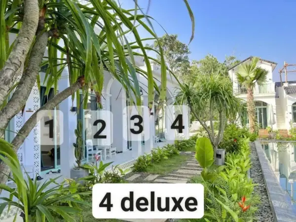 Ảnh chi tiết phòng viva-mc-green-deluxe-giuong-doi-vivatrip_02.webp