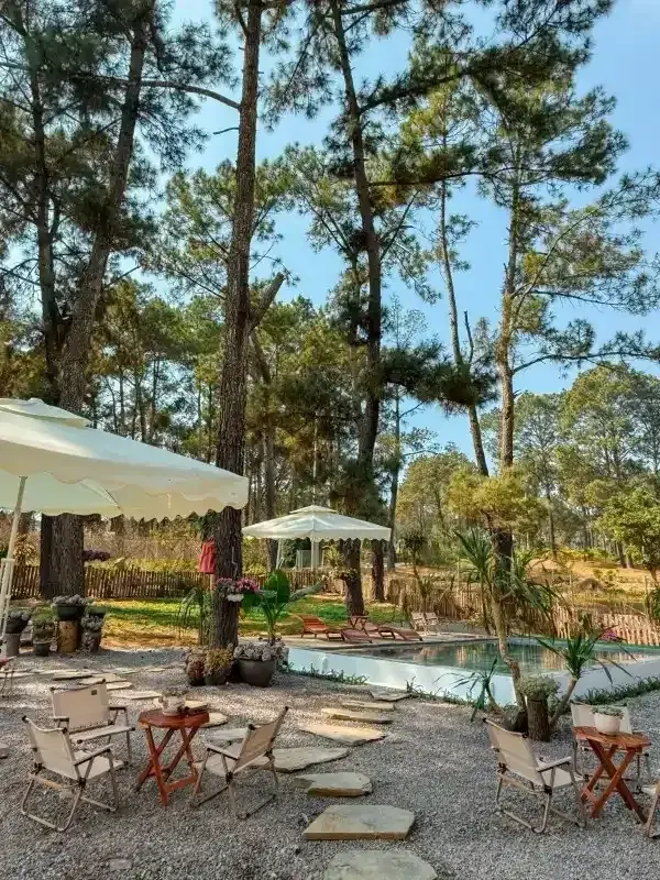 Ảnh Viva MC Healing