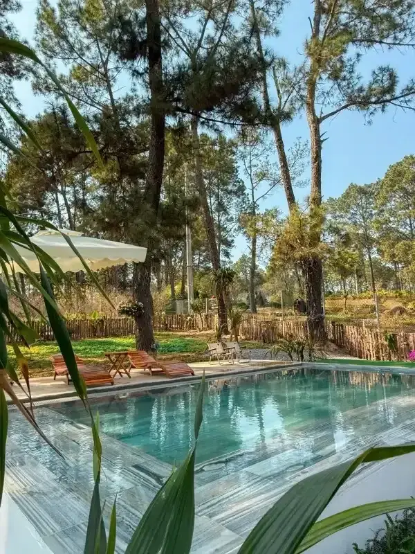 Ảnh Viva MC Healing