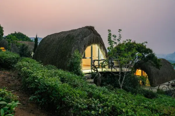 Ảnh chi tiết phòng viva-mc-hippie-superior-garden-view-double-room-vivatrip.webp