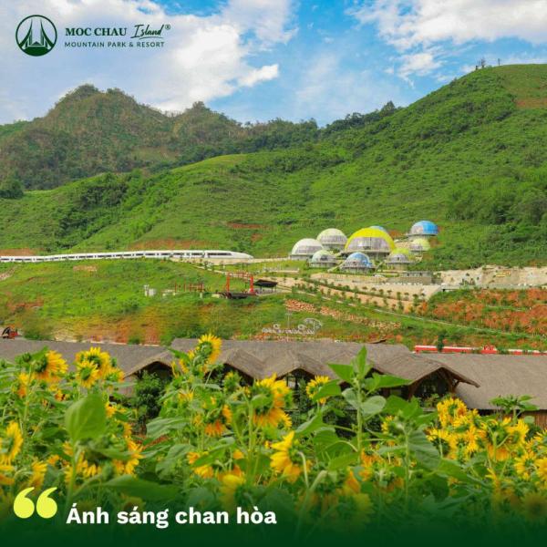 Ảnh Viva MC homestay Luinar - 25