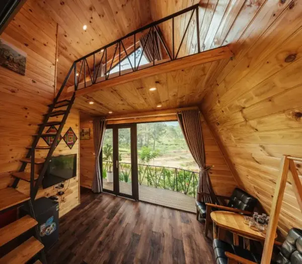 Ảnh Viva MCPhoenix