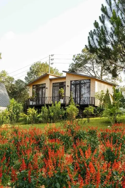 Ảnh Viva MCPhoenix - 7