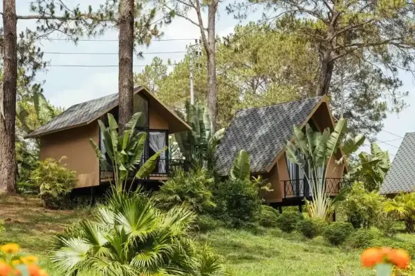 Ảnh Viva MCPhoenix - 14