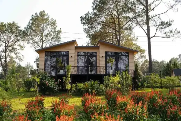 Ảnh Viva MCPhoenix - 15