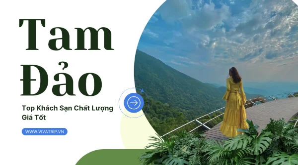 Top 9 khách sạn giá rẻ tốt nhất tại Tam Đảo