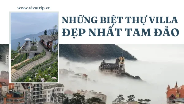 9+ Biệt Thự Villa Tam Đảo Đáng Trải Nghiệm Nhất