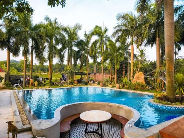 Ảnh Viva S17 - Sân PickleBall