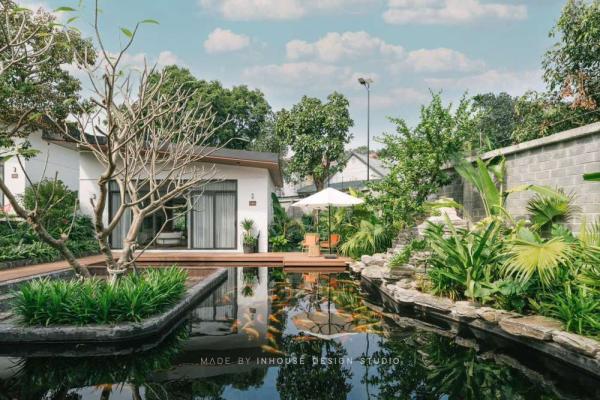 Ảnh Viva HB33 - 19