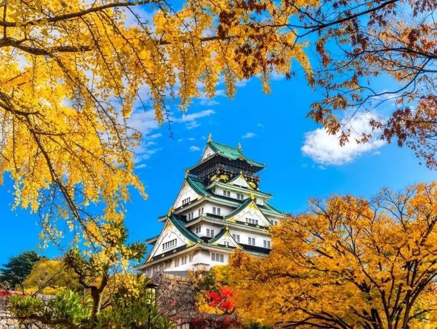 Ảnh Osaka - Kobe - Kyoto - Núi Phú Sĩ - Tokyo