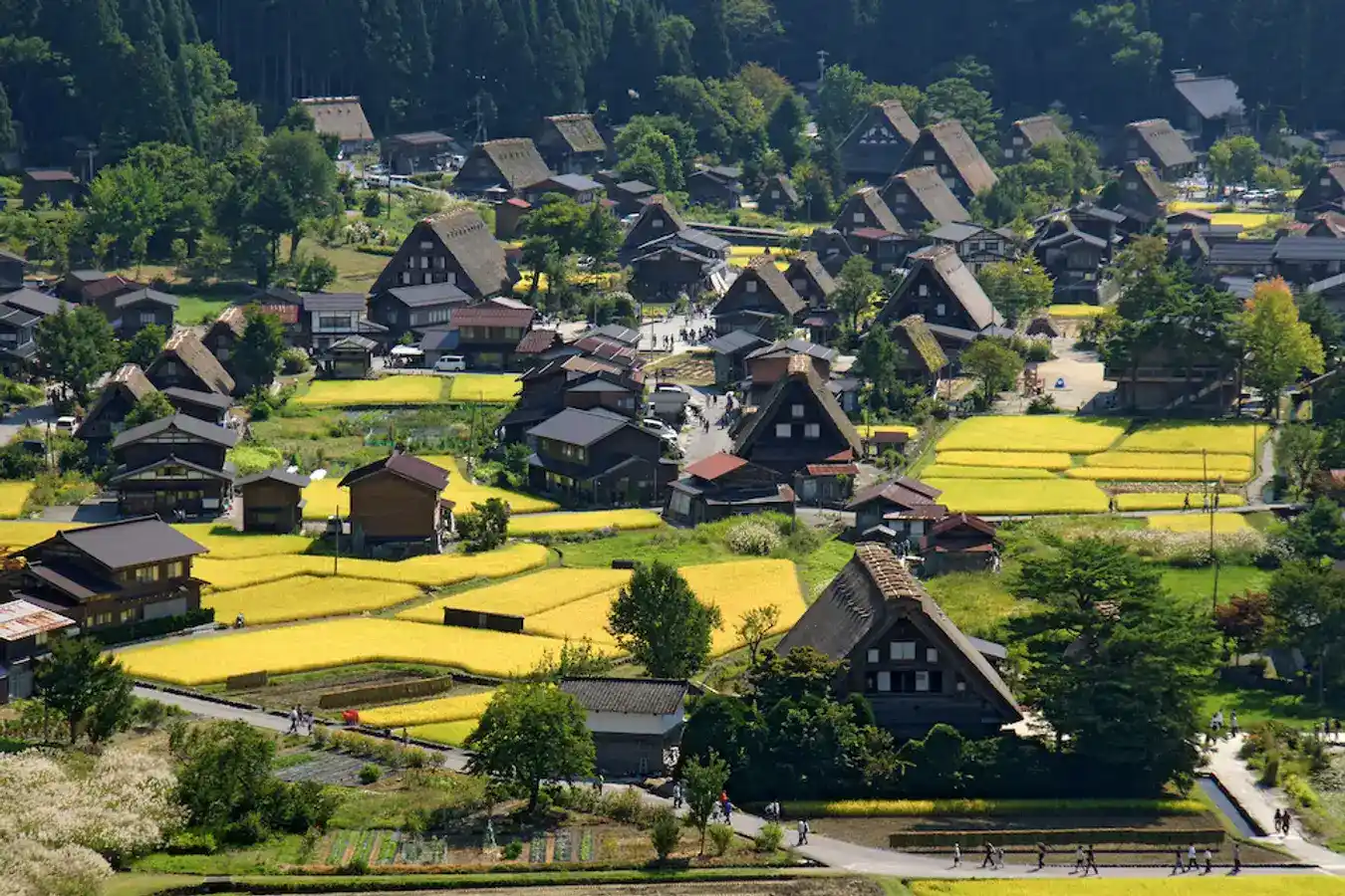 Ảnh Charter bay thẳng Nhật Bản: Nagoya - Làng cổ Shirakawa - Takayama - Matsumono - Núi Phú Sĩ - Tokyo (Trải nghiệm tàu cao tốc Shinkansen & trượt tuyết tại Fujiten Snow Resort)
