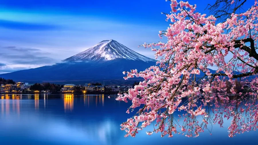 Ảnh Nhật Bản: Tokyo - Núi Phú Sĩ - Oshino Hakkai - Kyoto - Osaka (4 đêm khách sạn) | Trải nghiệm shinkansen, Ngắm hoa anh đào Kawazu, Tặng kem trà xanh