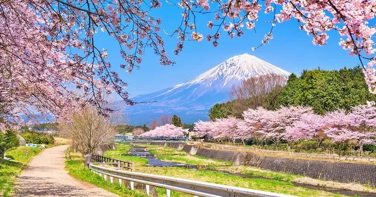 Ảnh Osaka - Kobe - Kyoto - Núi Phú Sĩ - Tokyo