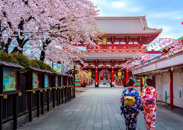 Ảnh Nhật Bản: Tokyo – Núi Phú Sĩ – Oshino Hakkai – Kyoto – Osaka (4 đêm khách sạn) | Trải nghiệm shinkansen & xem biểu diễn Geisha | Trải nghiệm trà đạo và mặc Yukata dạo phố