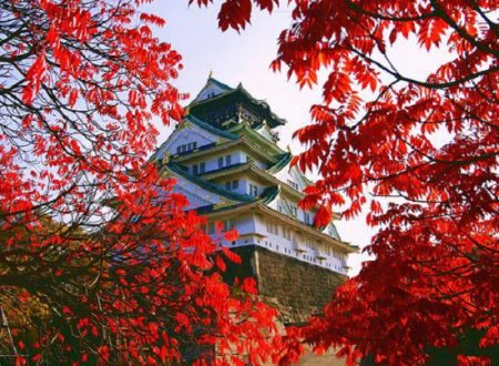 Ảnh Charter bay thẳng Nhật Bản: Nagoya - Làng cổ Shirakawa - Takayama - Kyoto - Rừng Tre Arashiyama - Kobe - Osaka - Nara (Tour Nhật Bản 5N4Đ)