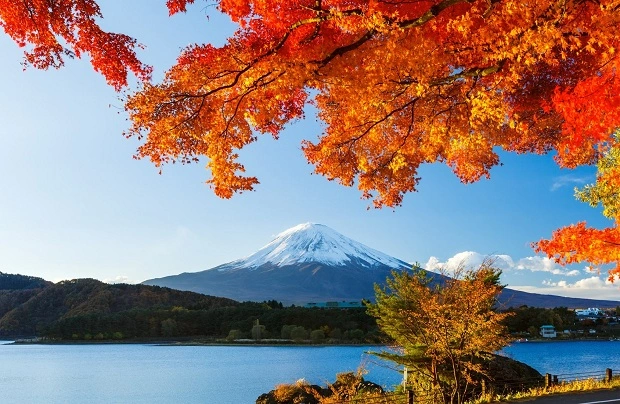 Ảnh Tour Nhật Bản: Osaka - Kyoto - Núi Phú Sĩ - Tokyo 5 ngày 4 đêm