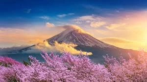 Ảnh Tour Nhật Bản : Osaka - Kobe - Kyoto - Nagoya - Oshino Hakkai -Núi Phú Sĩ - Tokyo | Thưởng thức bò Kobe | Trải nghiệm Shinkansen & Trà Đạo | Hái trái cây