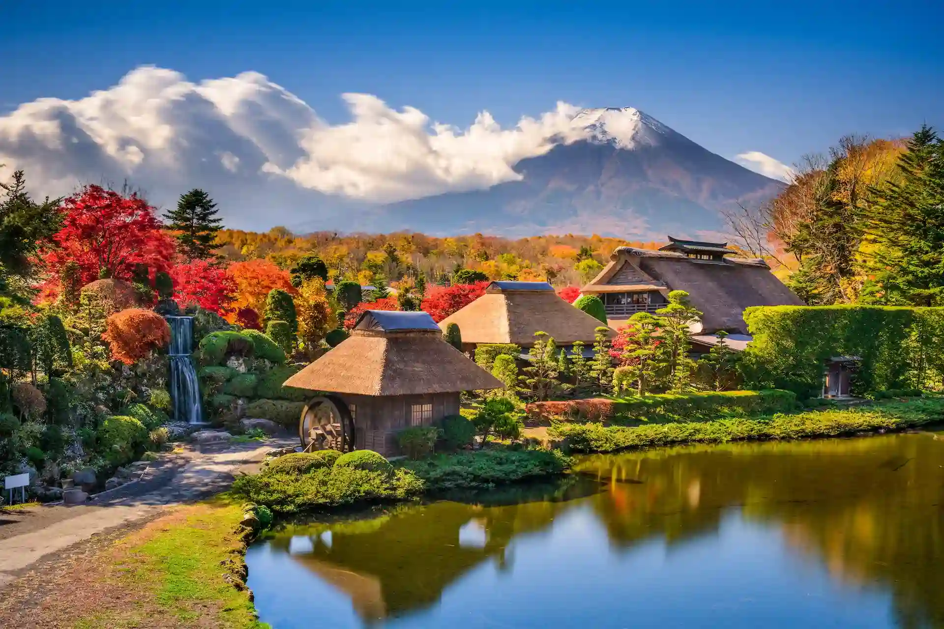 Ảnh Tour Nhật Bản : Osaka - Kobe - Kyoto - Nagoya - Oshino Hakkai -Núi Phú Sĩ - Tokyo | Thưởng thức bò Kobe | Trải nghiệm Shinkansen & Trà Đạo | Hái trái cây