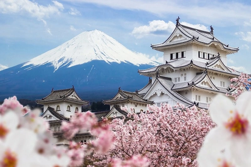 Ảnh Nhật Bản: Tokyo - Núi Phú Sĩ - Oshino Hakkai - Kyoto - Kobe - Osaka (4 đêm khách sạn) | Trải nghiệm shinkansen & thưởng thức bò Kobe