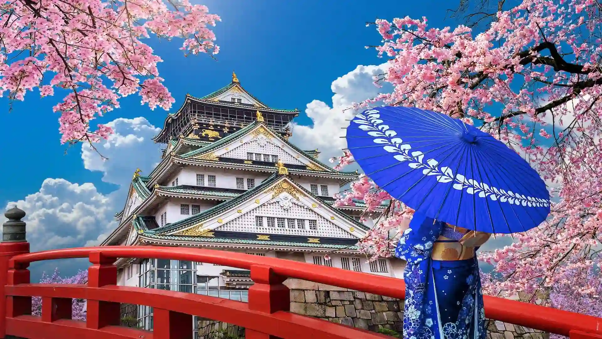 Ảnh Nhật Bản: Tokyo - Núi Phú Sĩ - Oshino Hakkai - Kyoto - Osaka (4 đêm khách sạn) | Trải nghiệm shinkansen, Ngắm hoa anh đào Kawazu, Tặng kem trà xanh