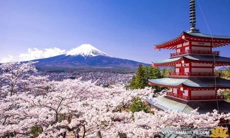 Ảnh Charter bay thẳng Nhật Bản: Nagoya - Làng cổ Shirakawa - Takayama - Kyoto - Rừng Tre Arashiyama - Kobe - Osaka - Nara (Tour Nhật Bản 5N4Đ)