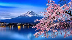 Ảnh "Nhật Bản: Tokyo - Vịnh Odaiba - Núi Phú Sĩ - Nagoya - Kobe - Osaka (Thưởng thức bò Kobe, trải nghiệm shinkansen, trà đạo & mặc Yukata) – Tặng kem rắc vàng "