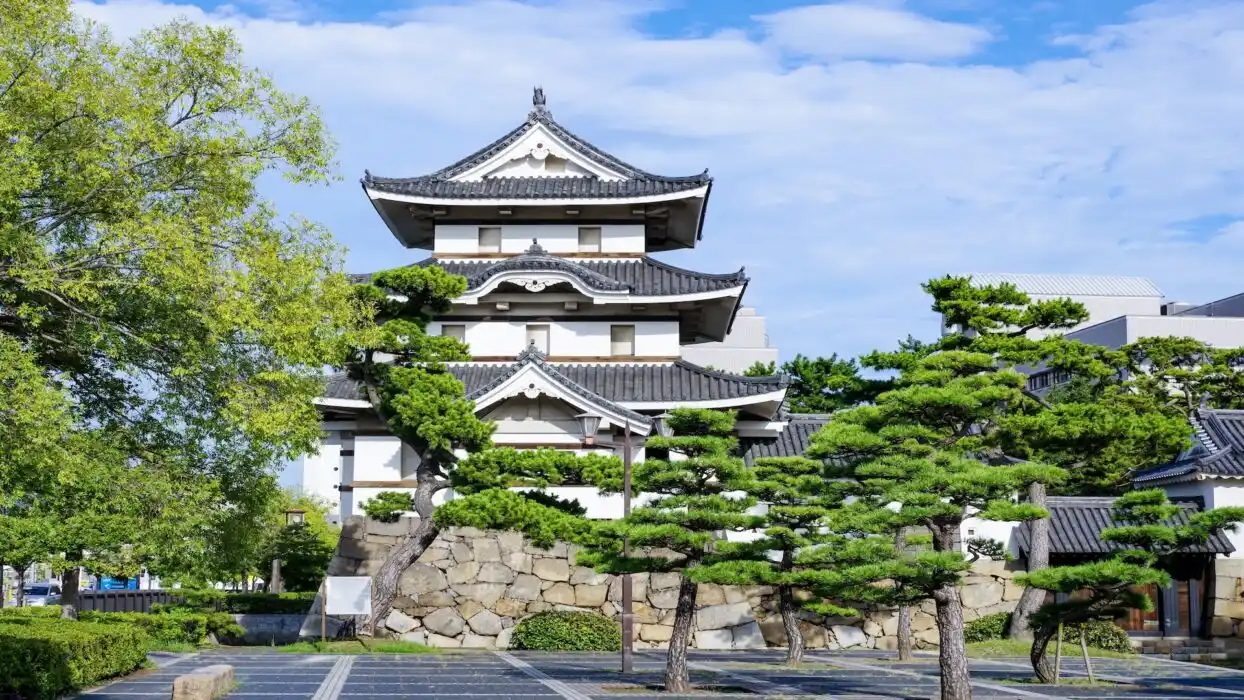Ảnh Charter Hoa Anh đào: Takamatsu – Kurashiki – Himeji – Kobe – Kyoto – Osaka – Awaji – Takamatsu – Thưởng thức bò Kobe - 1 ngày tự do tại Kobe