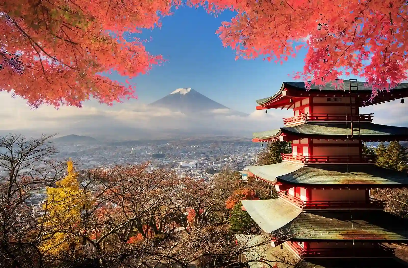 Ảnh Tour Nhật Bản : Narita - Kawaguchiko - Núi Phú Sĩ - Tokyo - Narita 5 ngày 4 đêm