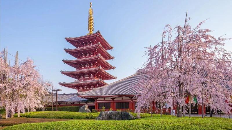 Ảnh Vinh - Hà Nội - Tokyo - Núi Phú Sỹ - Nagoya - Kyoto - Osaka/ Bay sáng cùng VietNam Airlines